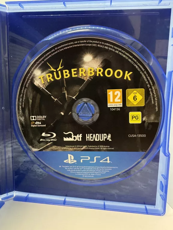 GRA NA PS4 TRUBERBROOK