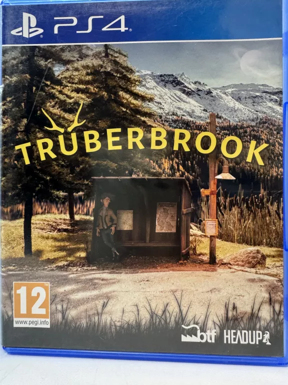 GRA NA PS4 TRUBERBROOK