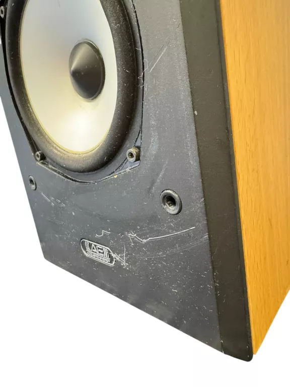 KOLUMNY ACOUSTIC ENERGY AEGIS ONE PIĘKNY DŹWIĘK!