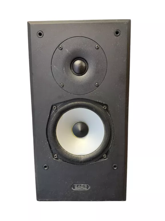 KOLUMNY ACOUSTIC ENERGY AEGIS ONE PIĘKNY DŹWIĘK!