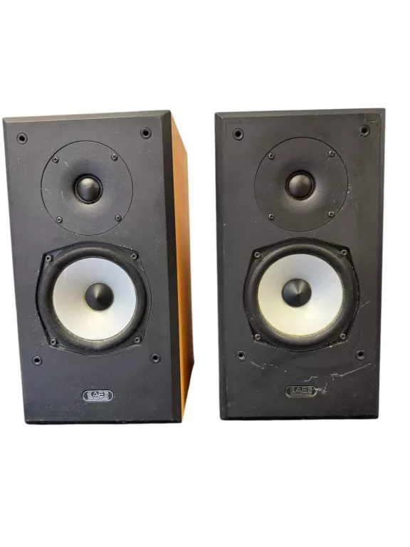KOLUMNY ACOUSTIC ENERGY AEGIS ONE PIĘKNY DŹWIĘK!