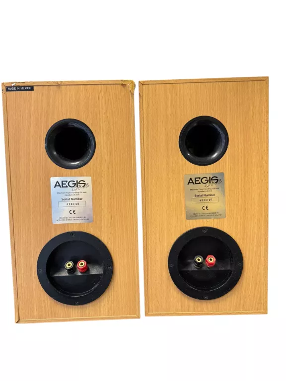 KOLUMNY ACOUSTIC ENERGY AEGIS ONE PIĘKNY DŹWIĘK!