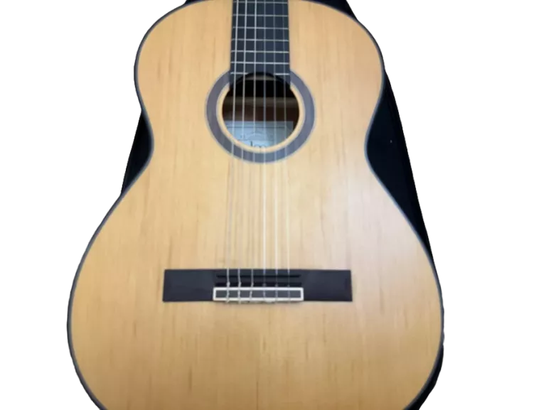 GITARA KLASYCZNA BE JOE VALENCIA 4/4