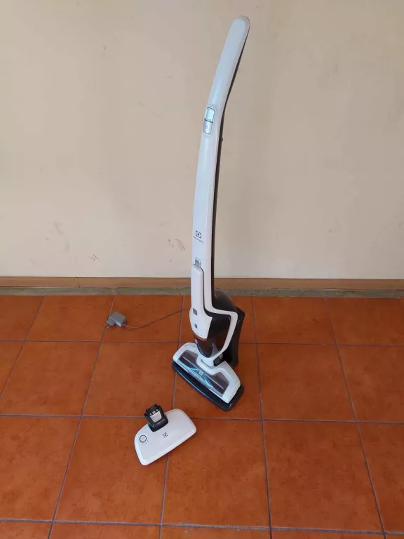 ODKURZACZ ELECTROLUX ERGORAPIDO ALLERGY