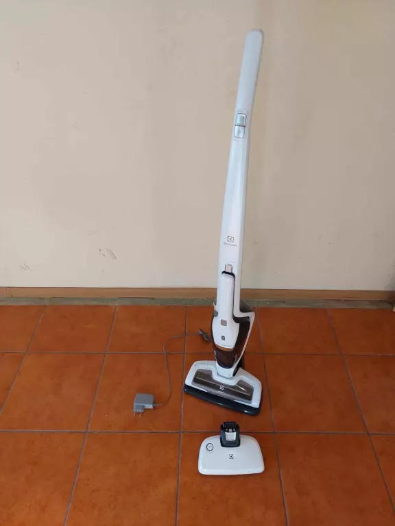 ODKURZACZ ELECTROLUX ERGORAPIDO ALLERGY