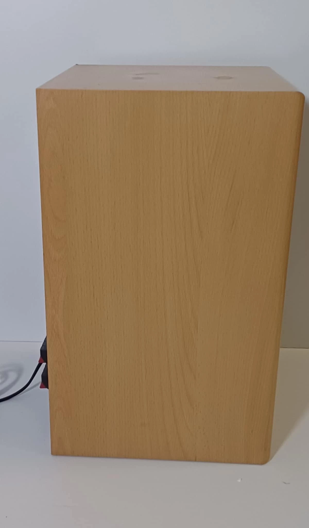 glosnik-tonsil-fenix-100w-rodzaj-208106-235290