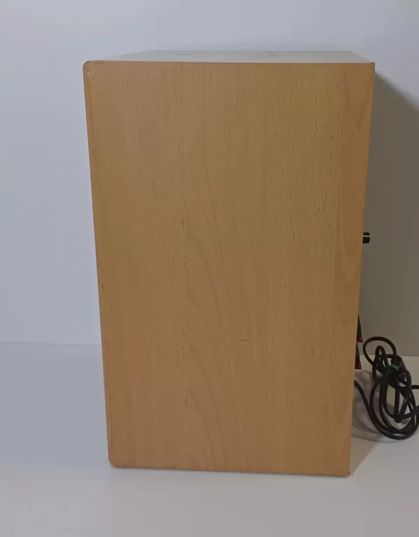 glosnik-tonsil-fenix-100w-ean-gtin-5907529266984