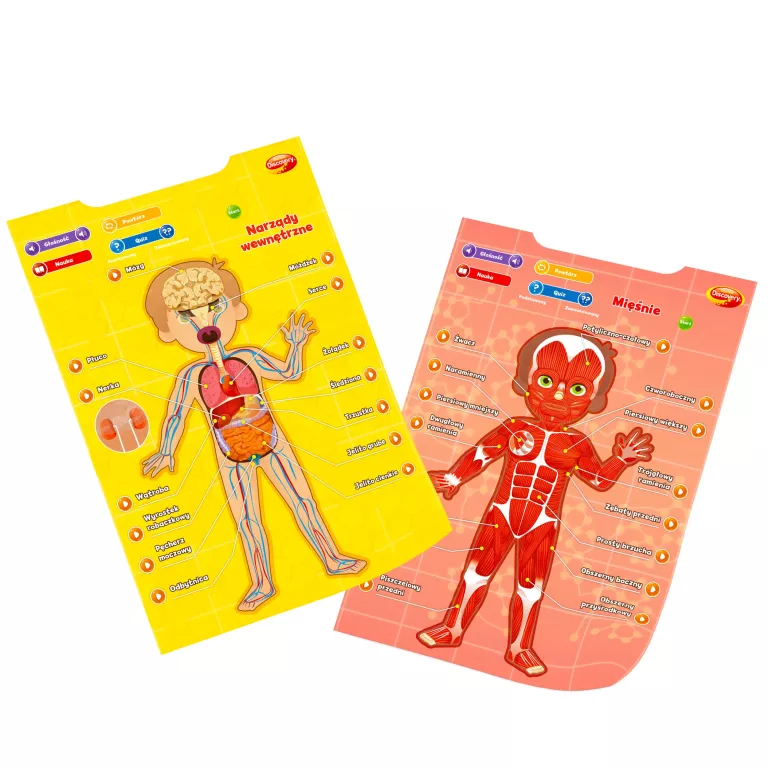 PLAKATY EDUKACYJNE DUMEL DISCOVERY CZŁOWIEK
