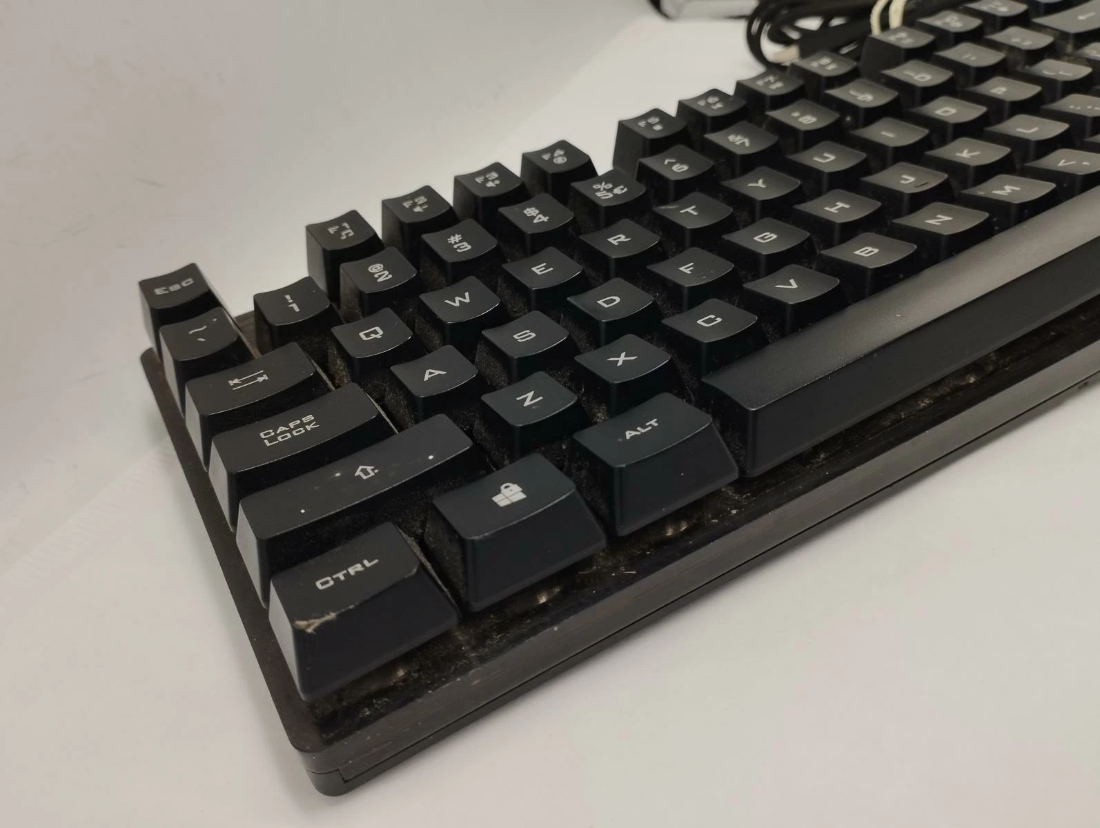 klawiatura-trust-laan-van-barcelona-600-stan-11323-2