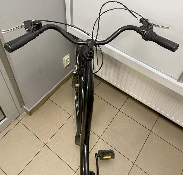 ROWER DAMKA DALLAS 28" 7 SPD