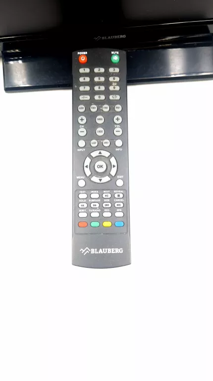 TV BLAUBERG 19LHS1905