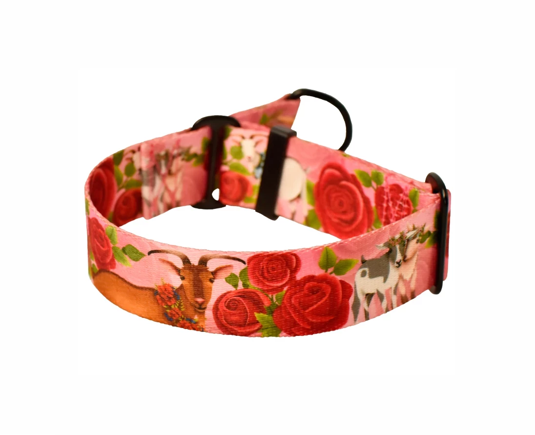 obroza-dla-psa-grabiszynska-30-wroclaw