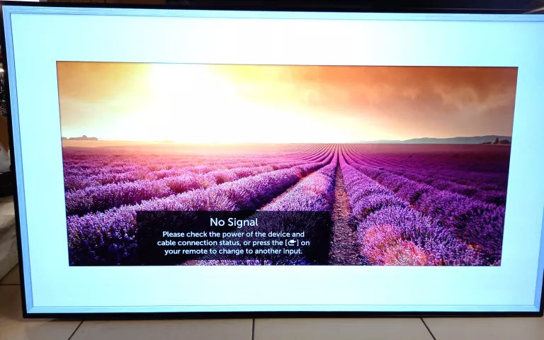 TELEWIZOR LG OLED55B8PLA