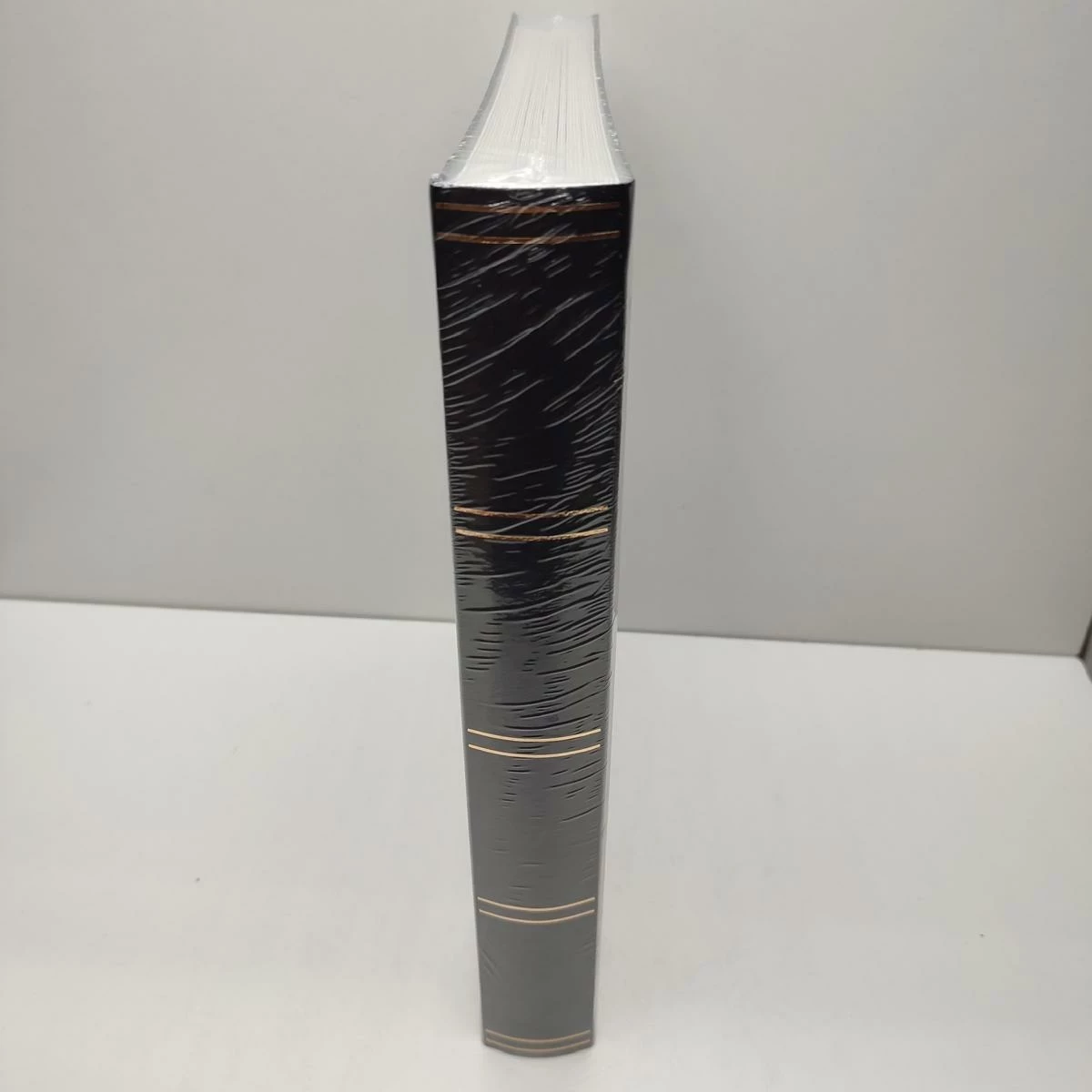 klaser-filatelistyczny-na-znaczki-60-stron-leuchtturm-ean-gtin-4004117856563