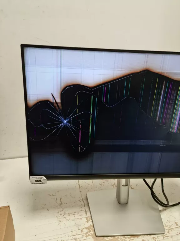 MONITOR DELL P2422H *POLECAM*