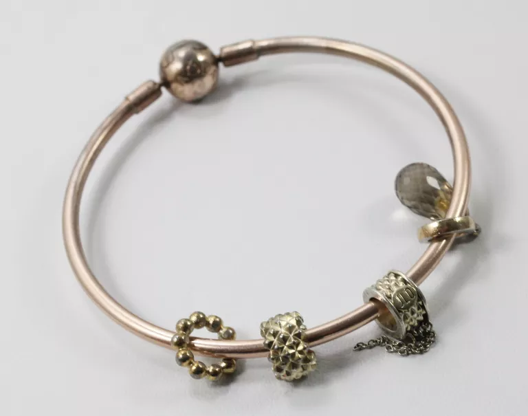 BRANSOLETKA BANGLE PANDORA MOMENTS