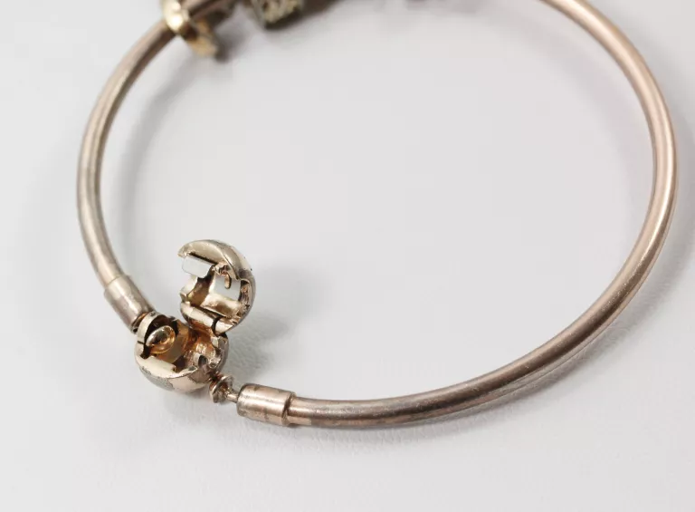 BRANSOLETKA BANGLE PANDORA MOMENTS