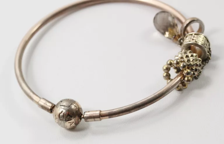 BRANSOLETKA BANGLE PANDORA MOMENTS