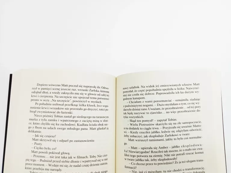 KSIĄŻKA PRZYMIERZE TROJGA. INNY ŚWIAT. TOM 1 MAXIME CHATTAM