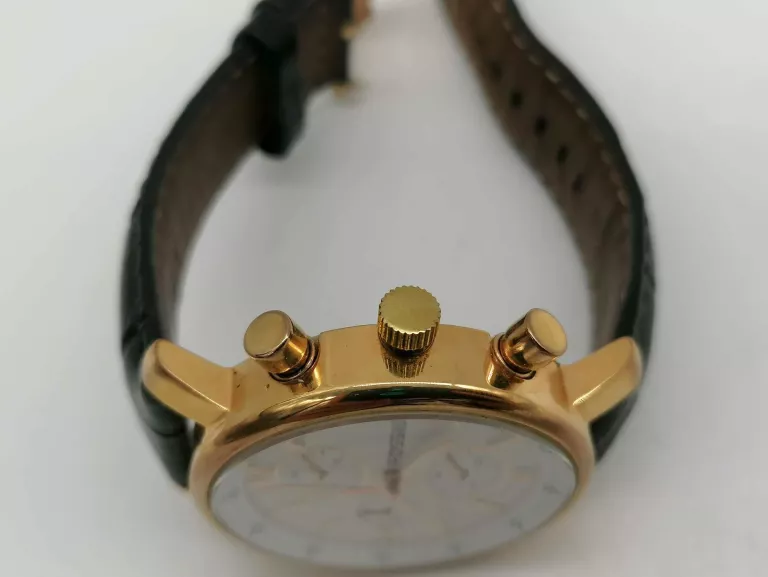 ZEGAREL FOSSIL BQ2162