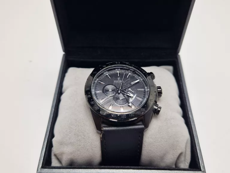 ZEGAREK MĘSKI FESTINA F16902/1