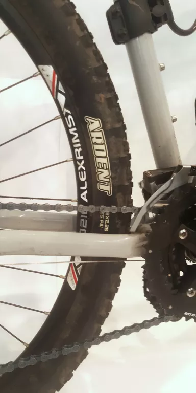 ROWER GÓRSKI MUDDYFOX COLOSSUS 500/PARAGON