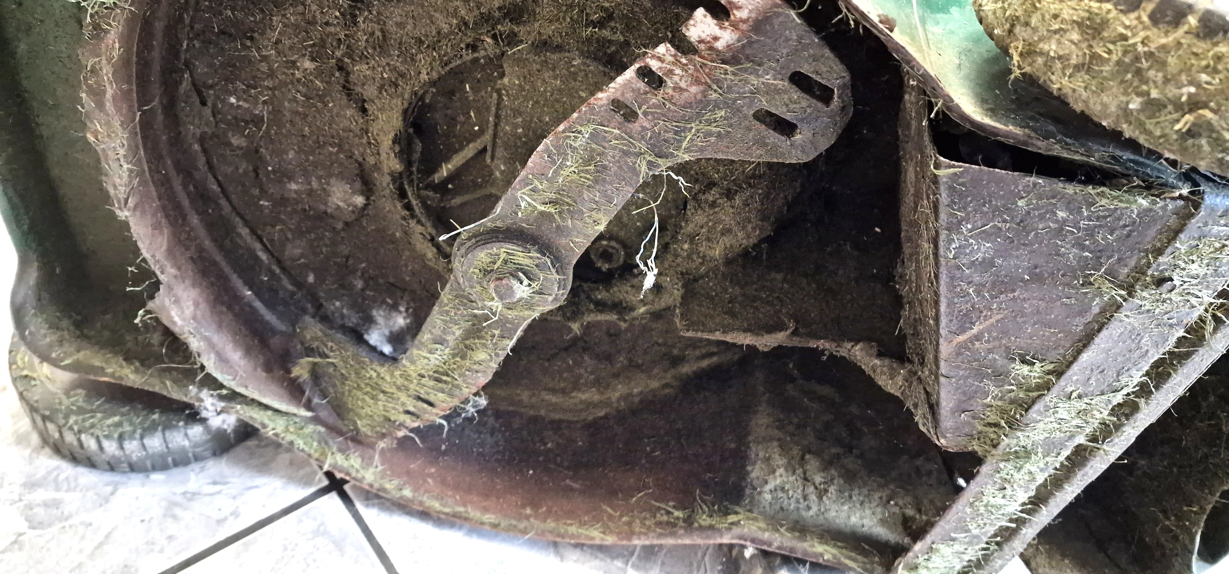 kosiarka-spalinowa-merox-276507-zakres-regulacji-wysokosci-koszenia