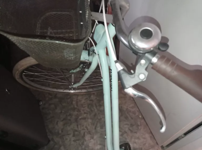 rower-damka-ean-gtin-5904921744478