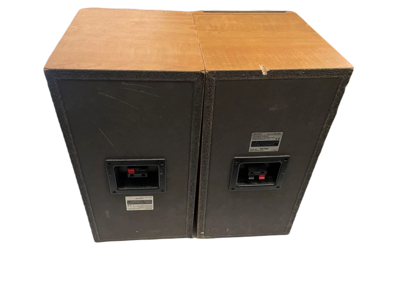 glosniki-sony-ss-nx1-model-ss-nx1