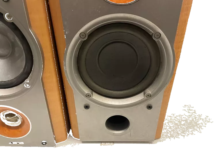 GŁOŚNIKI SONY SS-NX1