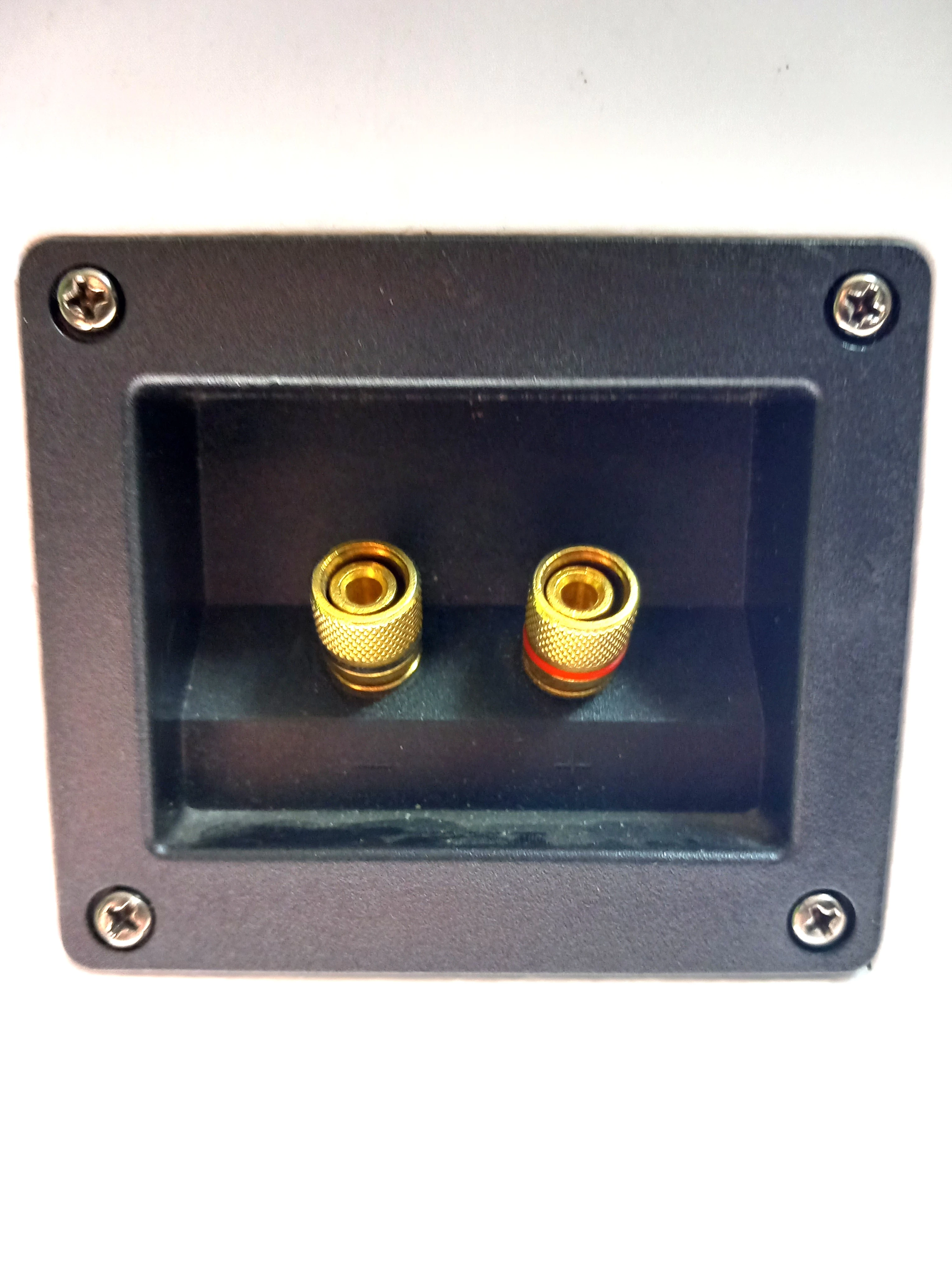 kolumny-voice-kraft-e1004a-kab-kolor-bialy