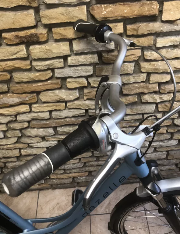 rower-gazelle-plus-paris-plec-nie-dotyczy