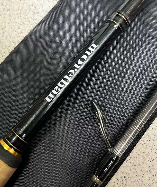 WĘDKA DAIWA MORETHAN 902HFS-AD CW:30-70 + ETUI