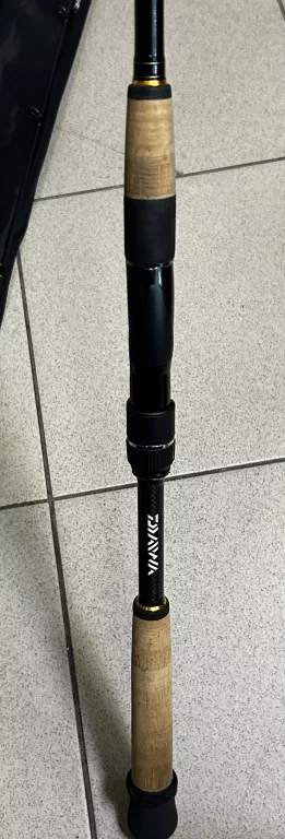 WĘDKA DAIWA MORETHAN 902HFS-AD CW:30-70 + ETUI