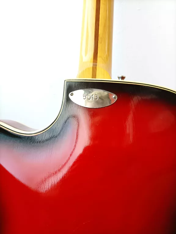 BASOWA GITARA DEFIL + POKROWIEC
