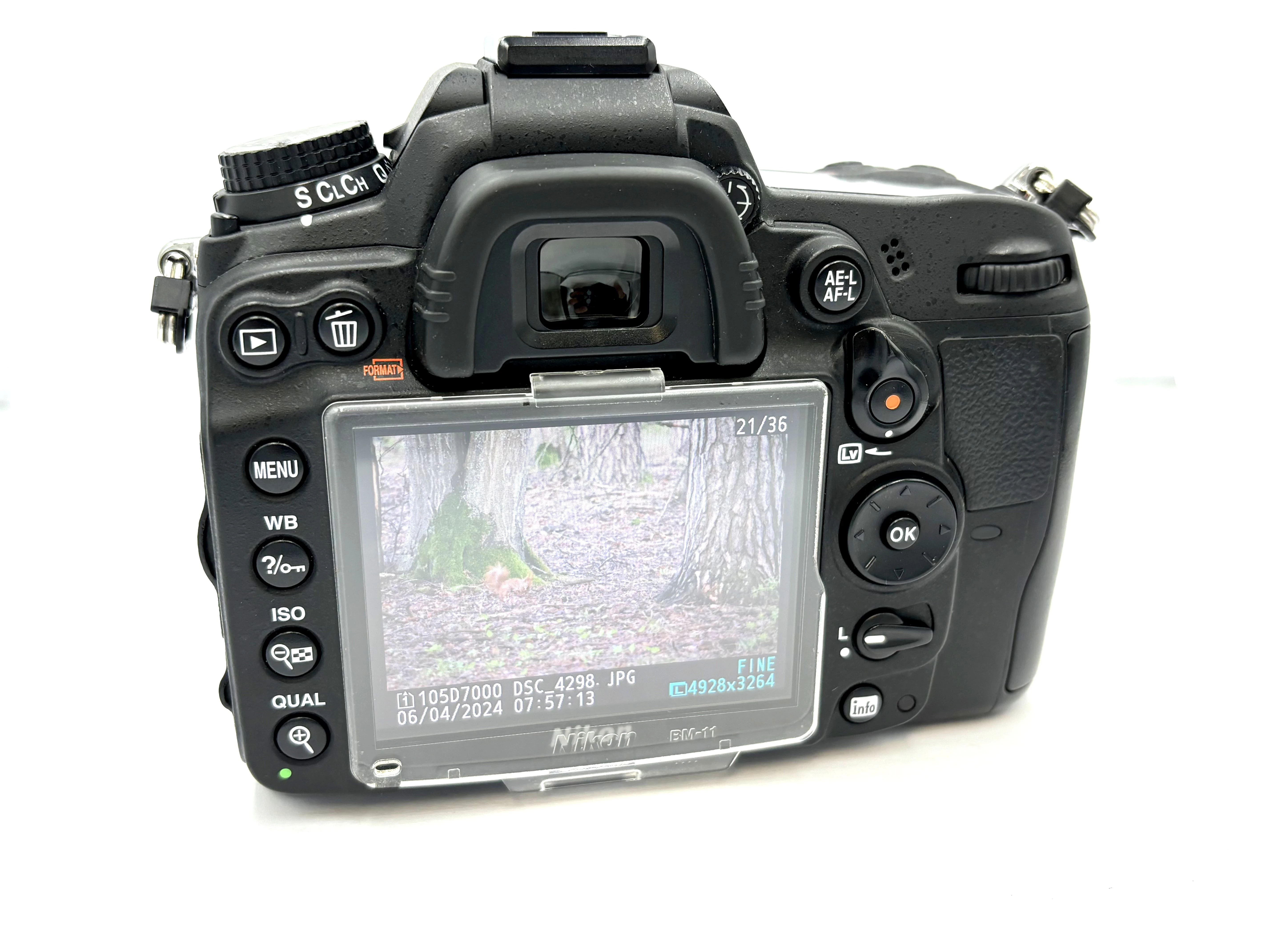 sd