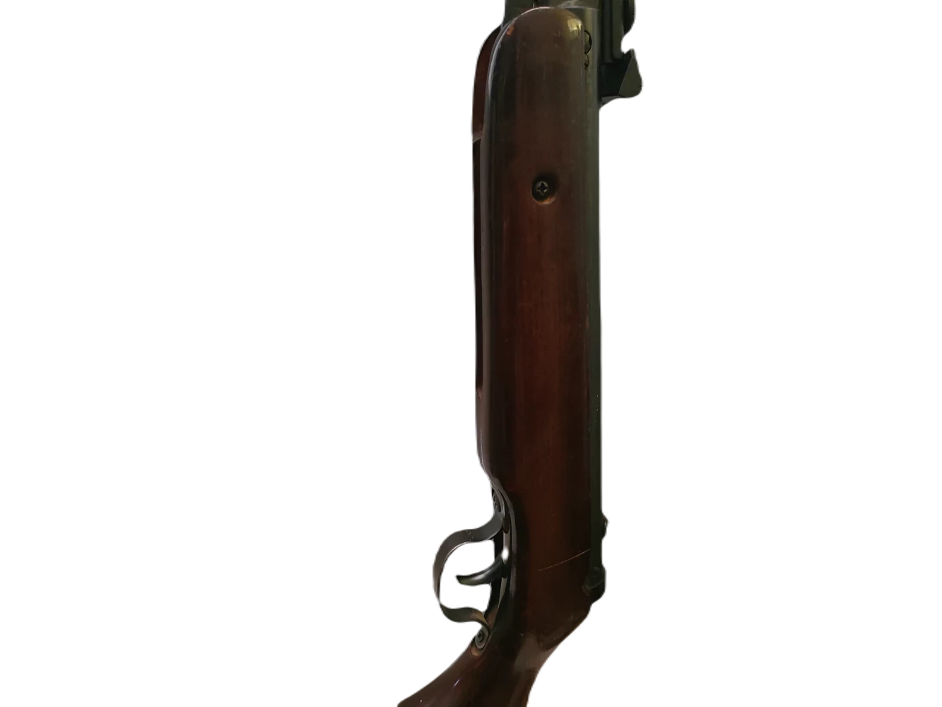 sd
