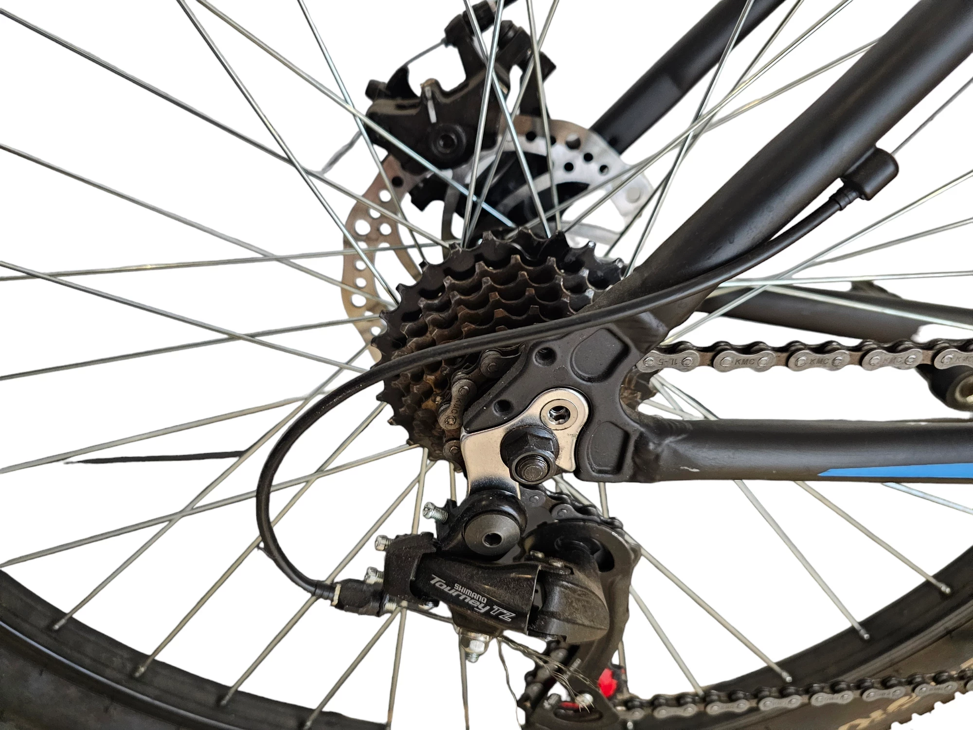 rower-gorski-mtb-masciaghi-hogan-orlica-29-cali-24-biegi-kolor-niebieski