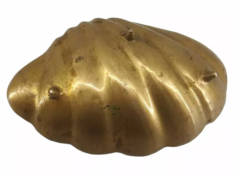 MOSIĘŻNA POPIELNICZKA - MUSZLA