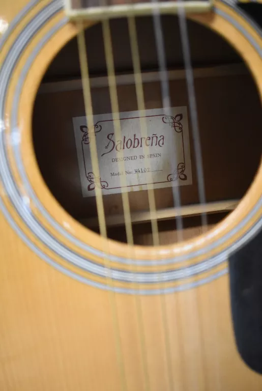 GITARA AKUSTYCZNA SALOBRENA W4102