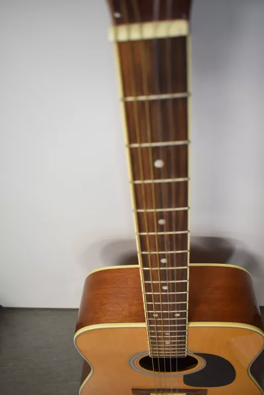 GITARA AKUSTYCZNA SALOBRENA W4102