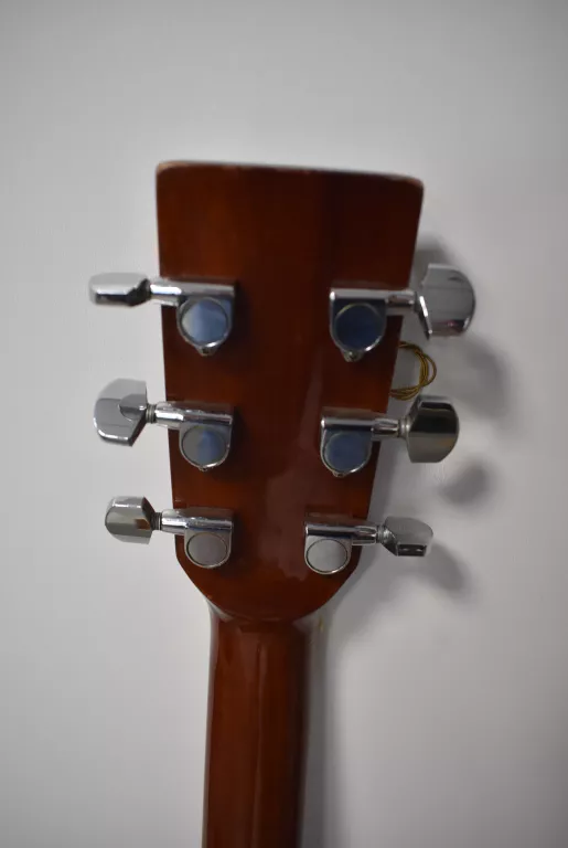 GITARA AKUSTYCZNA SALOBRENA W4102