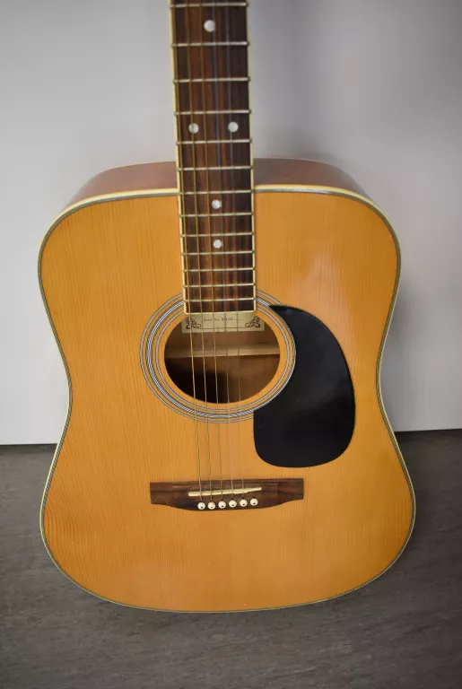 GITARA AKUSTYCZNA SALOBRENA W4102