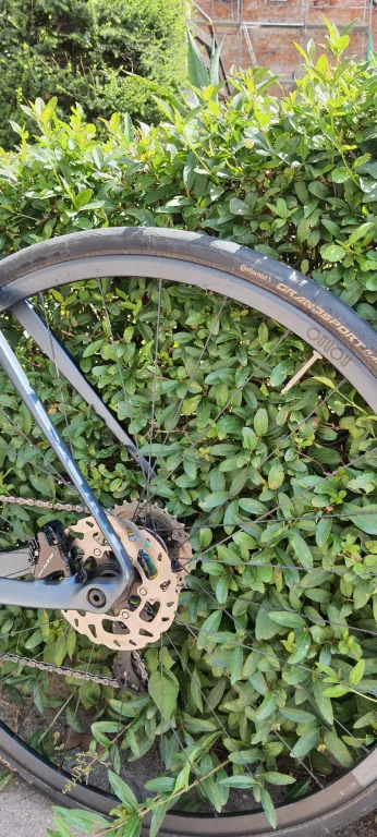ROWER GRAVEL RONDO HVRT CF2 CARBON 56