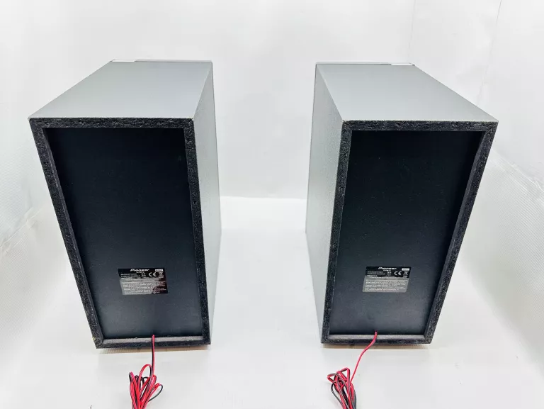 MINIWIEŻA MINIWIEŻA PIONEER X-PM12 BEZ AKC