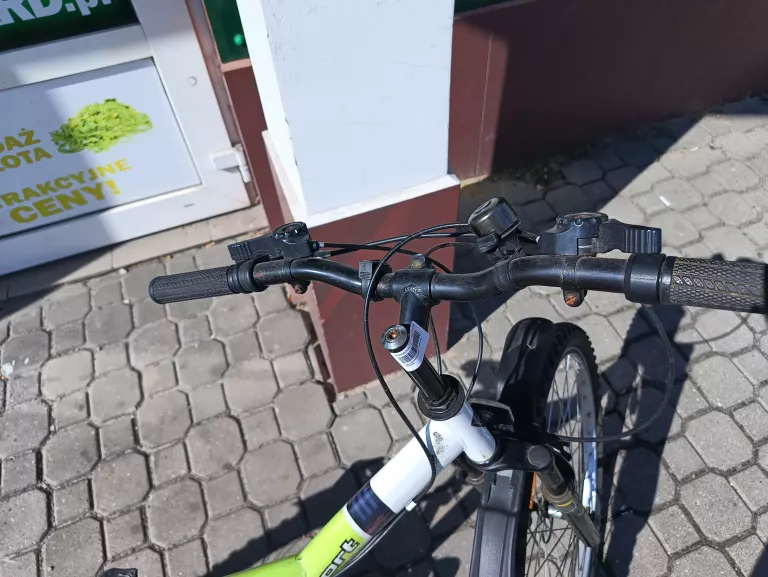 ROWER ZENIT SPORT YOUNG