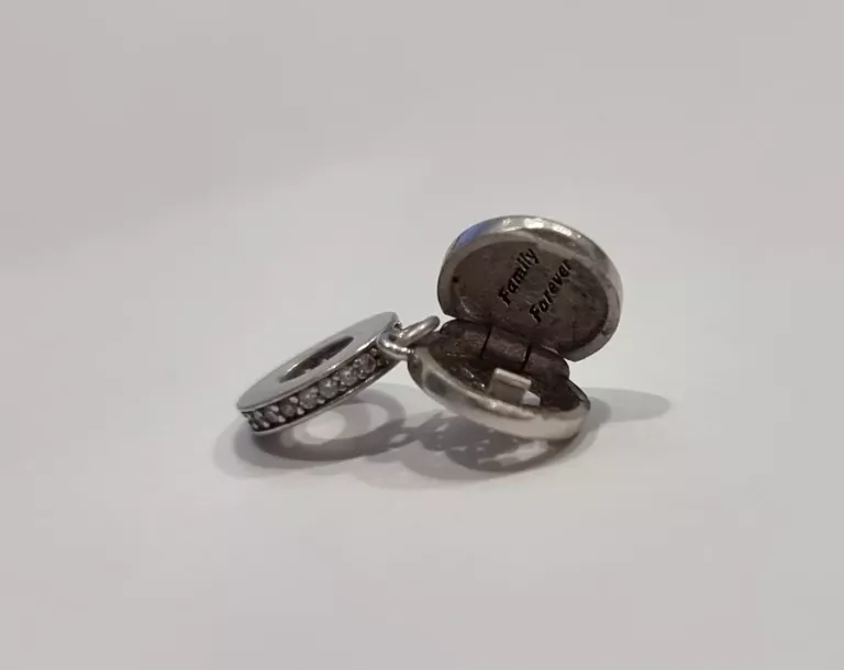 SREBRNY CHARMS DRZEWO RODZINNE 925/2,5CM