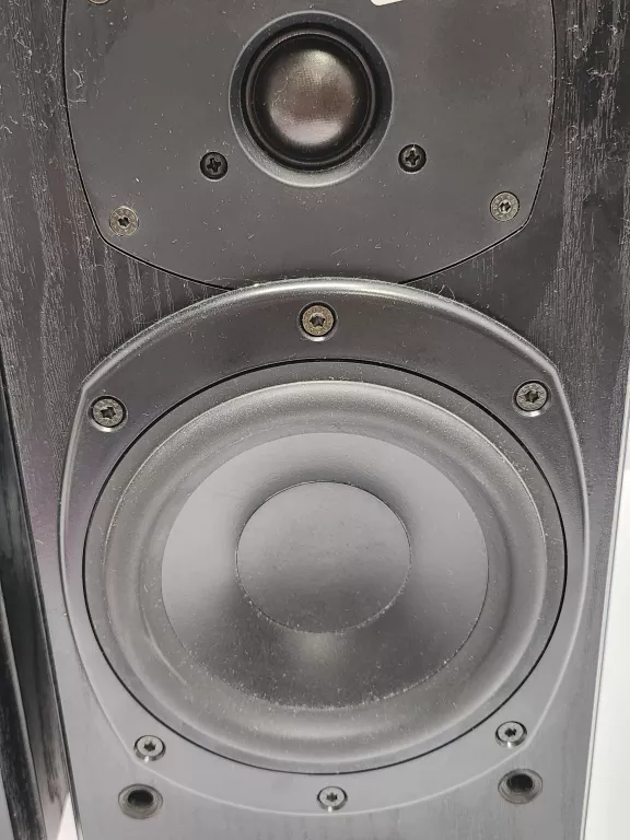 GŁOŚNIKI TANNOY MERCURY M1 - SHADOW