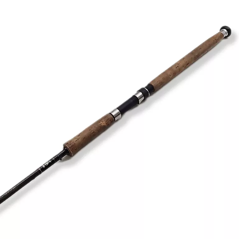 WĘDKA DAIWA WHISKER SPINNING 9BT 10-50G 270M