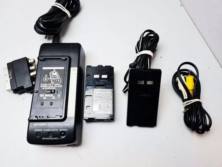 KAMERA SHARP VIEWCAM VL-E31S TORBA